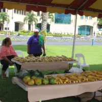 farm-fair-samoan-language