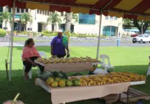 farm-fair-samoan-language