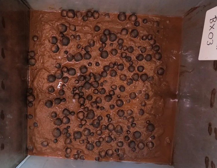 NOAA releases images of nodules found near Am Samoa