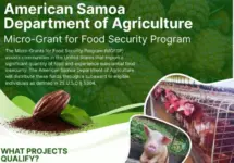 micro-grant