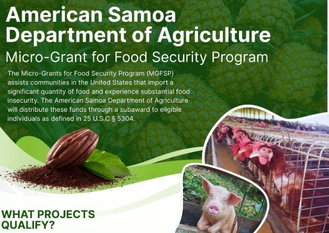Dept of Agriculture still reviewing applications for food security grants