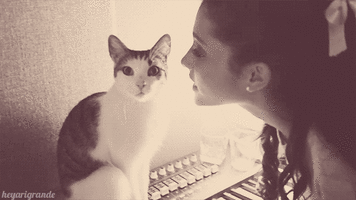 cat rejected