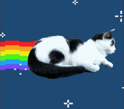 cat flying through space