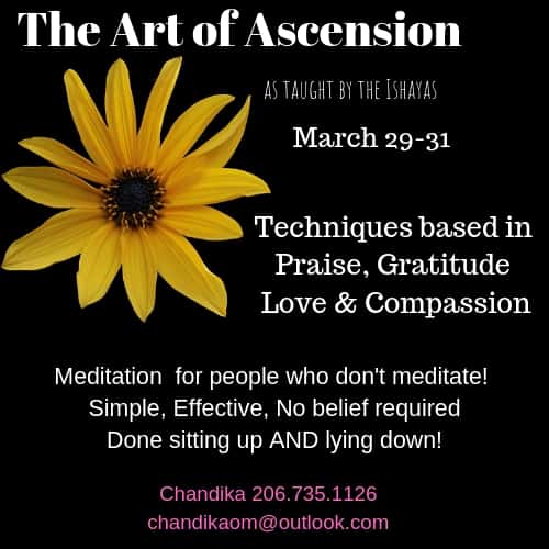 Learn The Art of Ascension