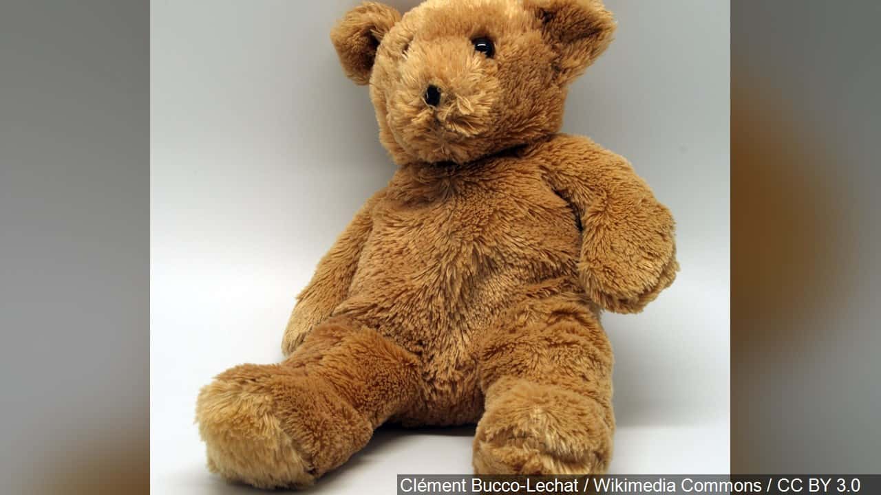 Teddy bears oral sex Busty colege girs