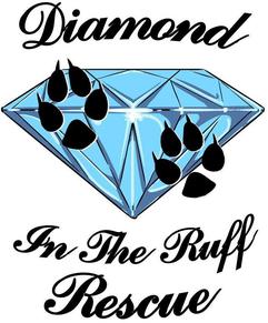 diamond in the ruff