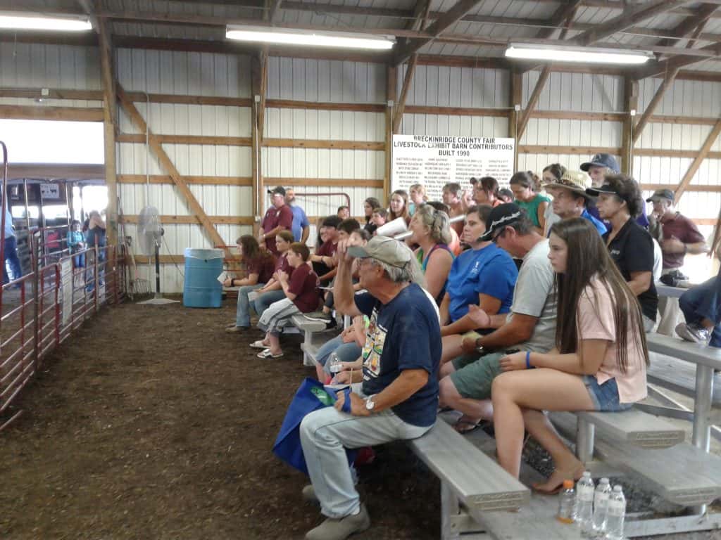crowd-at-livestock-auction
