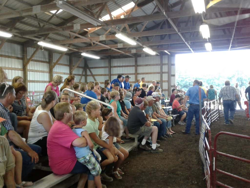 crowd-at-livestock-auction-2