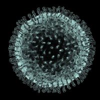 f0070229-coronavirus_artwork-spl