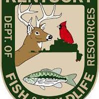 fish-and-wildlife