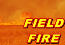 field-fire-3