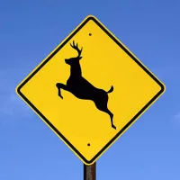 yellow-deer-crossing-sign-against-a-bright-blue-sky