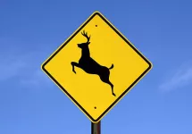 yellow-deer-crossing-sign-against-a-bright-blue-sky