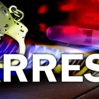 arrest-graphic-01