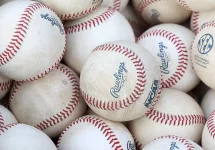 bag-of-baseballs658594