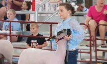 20250620-fair-2