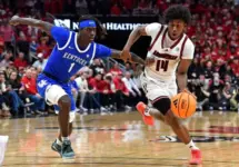 202511112-catsncards