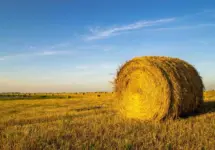 20251117-hay-bale