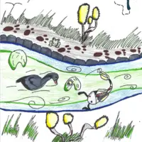 20260110-poster-winner