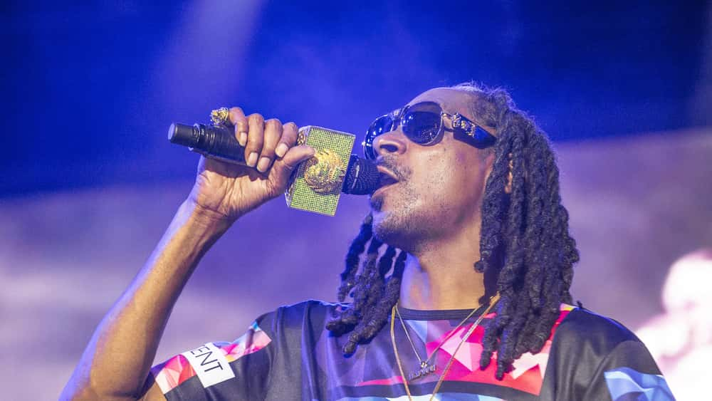 Snoop Dogg's Sign Language Interpreter Goes Viral | WVNU - Southern ...