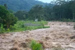 Flash floods that hit the lower plains with water mixed with mud