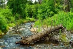 Ruidoso River in Ruidoso^ New Mexico.