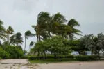 City of Miami Beach^ hurricane Irma. Florida. USA.