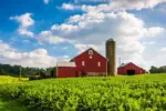Beautiful farm field and barn on a farm near Spring Grove^ Pennsylvania.