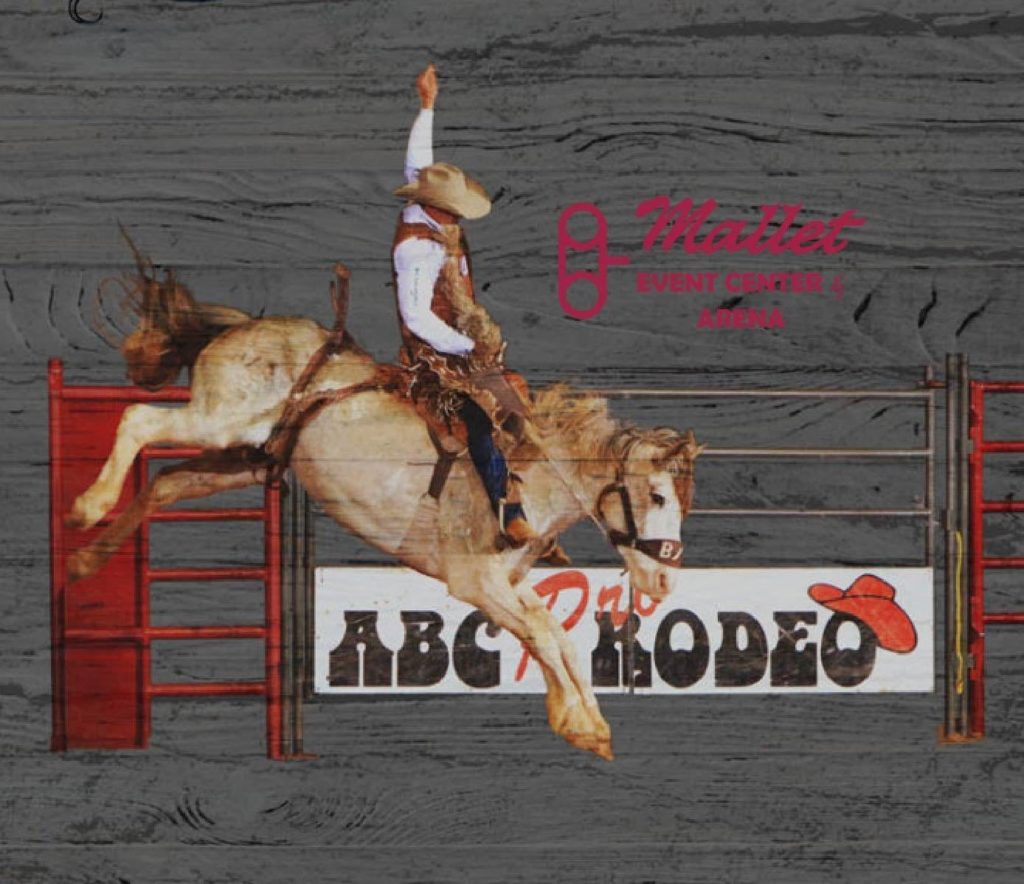 The ABC Rodeo is Back for 2022! - Vimarsana News