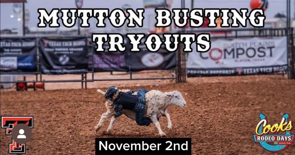 mutton-busting-tryouts-the-red-dirt-rebel-lubbock-tx