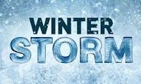 winter-storm-logo