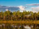 shutterstock_778021195
