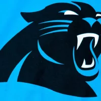 NFL Carolina Panthers club logo printed on textile equipment^product shot