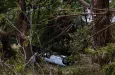 Aftermath of Central Texas flooding July 8^ 2025