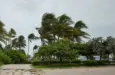 City of Miami Beach^ hurricane Irma. Florida. USA.