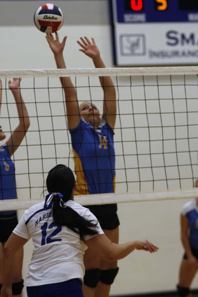 billings-at-marionville-vb-2