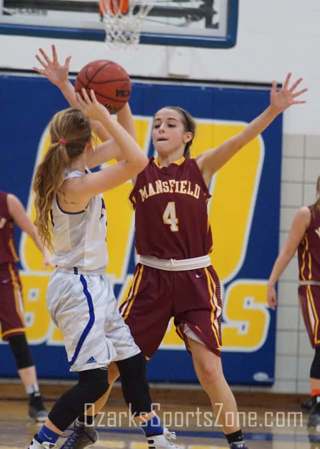 17314159.jpg: Best of 2015-16 Mansfield Lions_31