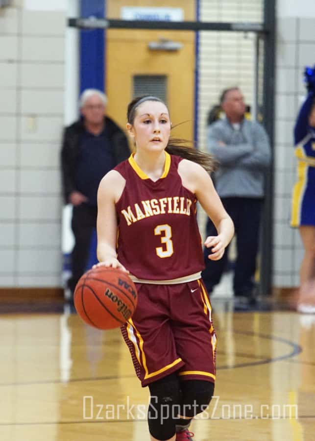 17314157.jpg: Best of 2015-16 Mansfield Lions_29