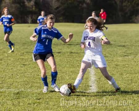 17302229.jpg: Best of 2015-16 Fair Grove Eagles_72