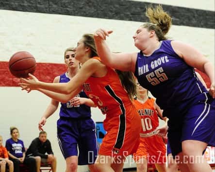 ozark-jam-gbb-008