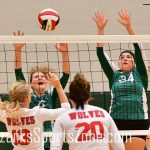 ReedsSpring-vs-Catholic-VB-_10