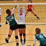 ReedsSpring-vs-Catholic-VB-_12