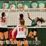 ReedsSpring-vs-Catholic-VB-_13