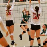 ReedsSpring-vs-Catholic-VB-_11