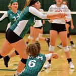 ReedsSpring-vs-Catholic-VB-_20