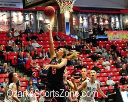 fairgrove-vs-nixa-66