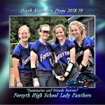 JOMP-TF-Forsyth-LPs