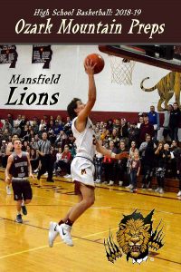 omp-mansfield-lions-2