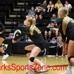 Volleyball-LHS-2019-20-Branson-11