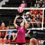 Volleyball-LHS-2019-20-Glendale-Ozone-7
